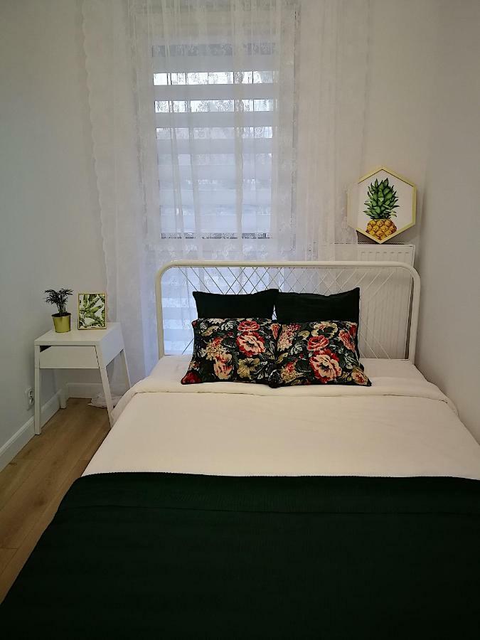 Nova Apartments - Rakowicka 克拉科夫 外观 照片