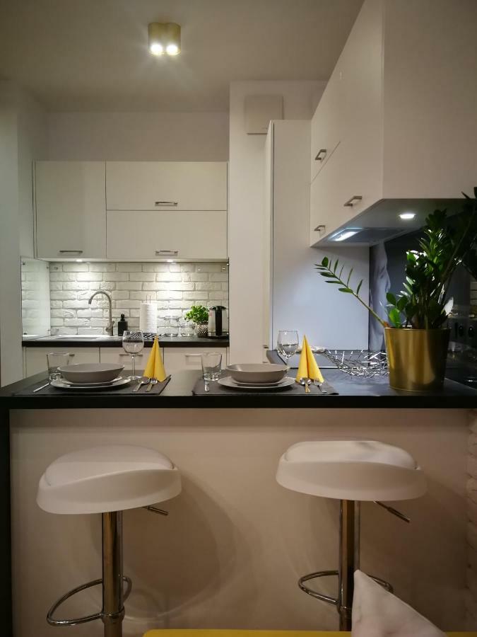 Nova Apartments - Rakowicka 克拉科夫 外观 照片
