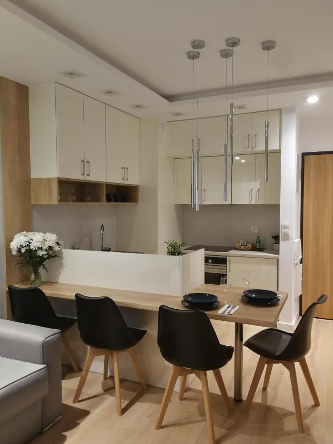 Nova Apartments - Rakowicka 克拉科夫 外观 照片
