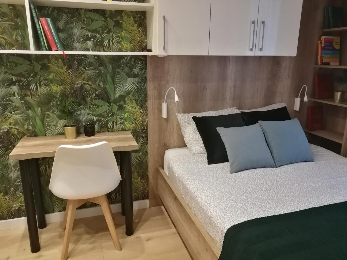 Nova Apartments - Rakowicka 克拉科夫 外观 照片